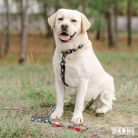 Dashi Noel Back Harness – Christmas Santa Claus Design, Adjustable, Size Small