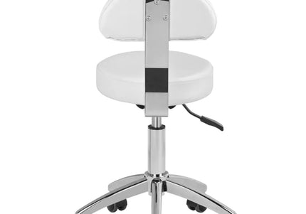 Activ 304-P Grooming Chair – Adjustable Height Stool with Removable Backrest, White Finish