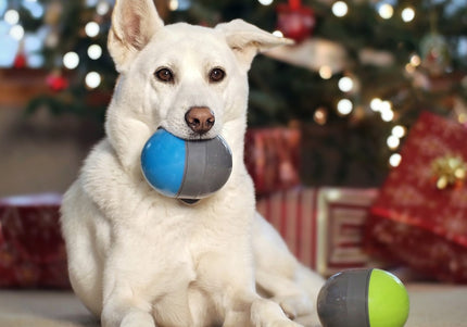 PetSafe Ricochet Electronic Dog Toy – Interactive Squeaking Balls, Engaging Play Design