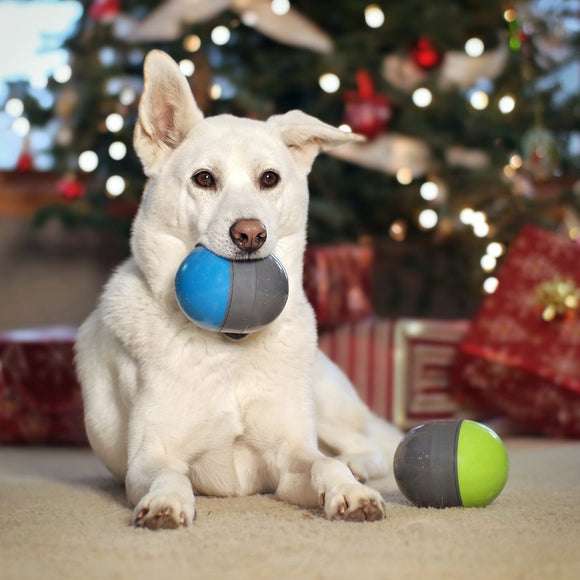 PetSafe Ricochet Electronic Dog Toy – Interactive Squeaking Balls, Engaging Play Design