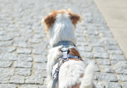 Dashi Solid Back Harness Grey – Adjustable Guard Dog Harness, Lightweight and Secure Fit, XS Size