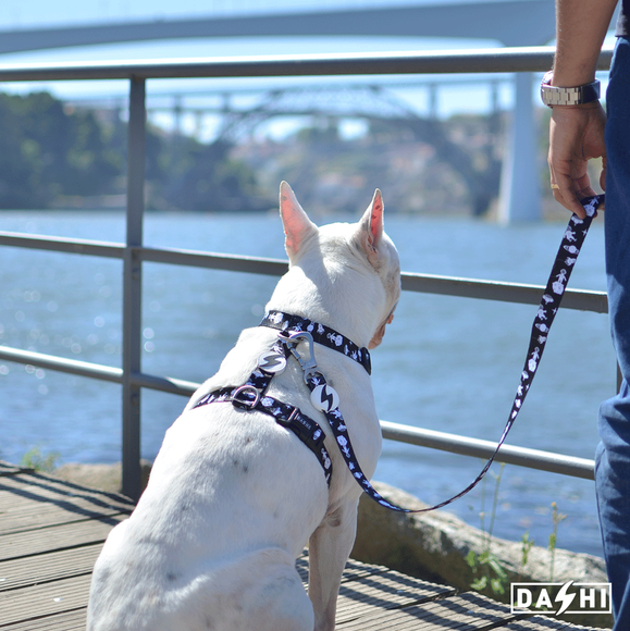 Dashi Astronaut Back Harness – Adjustable Space Pattern Dog Harness, Extra Small Size