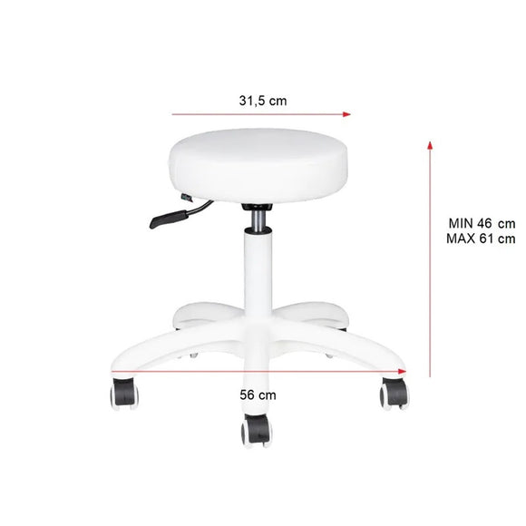 Activ AM-303-2 White Grooming Stool – Height Adjustable Seat with Stable White Base