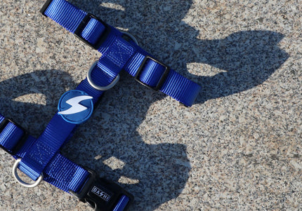 Dashi Solid Back Harness Blue – Adjustable Guard Dog Harness, Large Size, Durable Design