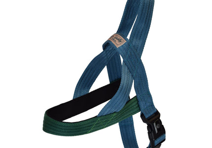 Hamilton Go Boldly Harness – Soft Nylon Norwegian Dog Harness, Turquoise, Medium Size, Comfortable Fit