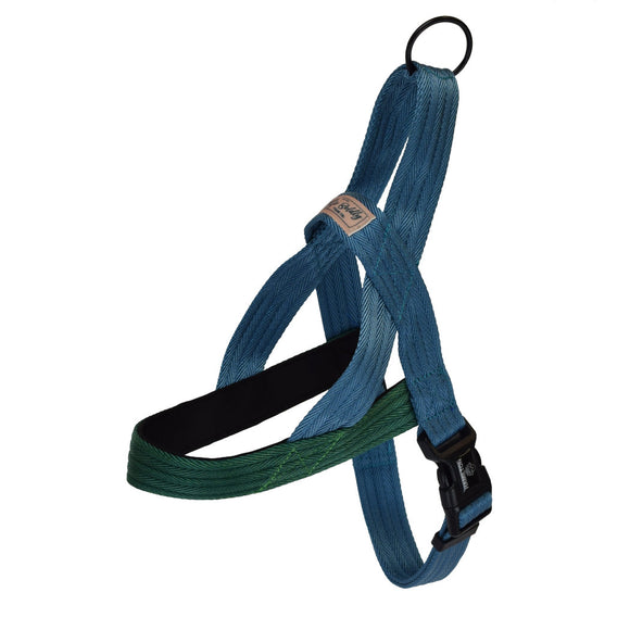 Hamilton Go Boldly Harness – Soft Nylon Norwegian Dog Harness, Turquoise, Medium Size, Comfortable Fit