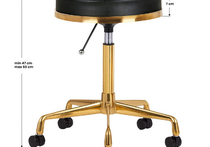 Activ H4 Gold Grooming Stool – Adjustable Height, Ergonomic Black Seat Design