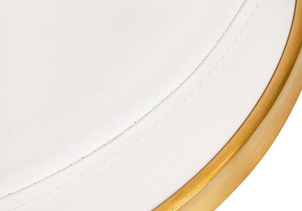 Activ H4 Gold Grooming Stool – Adjustable Height, Ergonomic White Seat Design