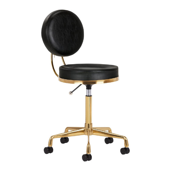 Activ H5 Gold Black Grooming Chair – Adjustable Height, Premium Gold and Black Finish