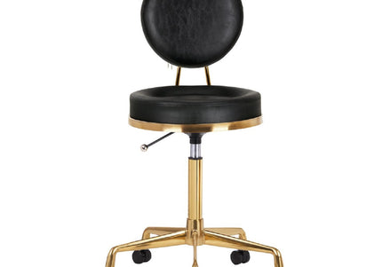 Activ H5 Gold Black Grooming Chair – Adjustable Height, Premium Gold and Black Finish