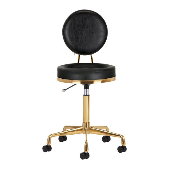 Activ H5 Gold Black Grooming Chair – Adjustable Height, Premium Gold and Black Finish