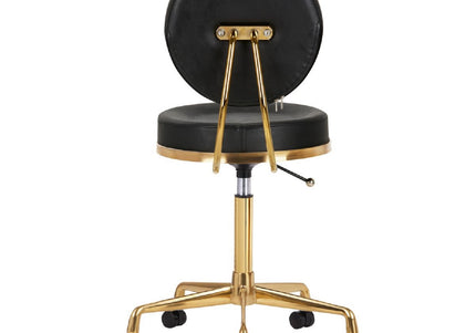 Activ H5 Gold Black Grooming Chair – Adjustable Height, Premium Gold and Black Finish