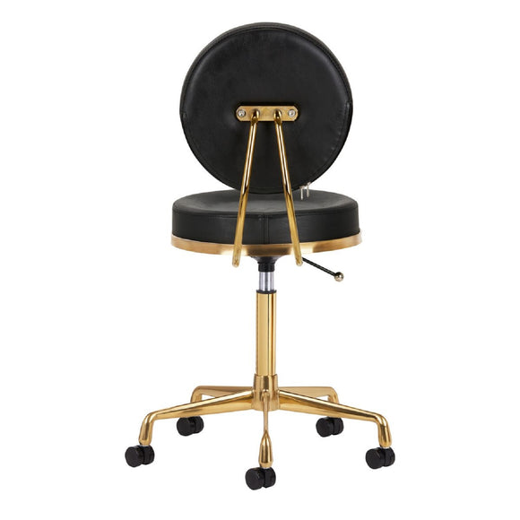 Activ H5 Gold Black Grooming Chair – Adjustable Height, Premium Gold and Black Finish