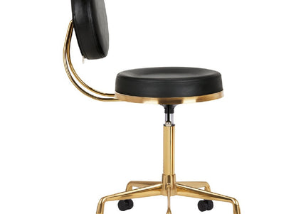 Activ H5 Gold Black Grooming Chair – Adjustable Height, Premium Gold and Black Finish