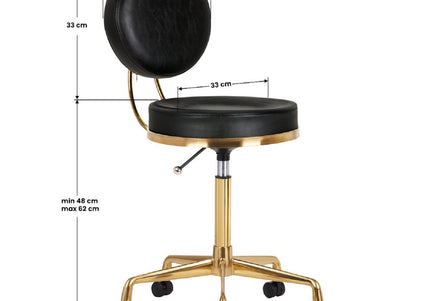 Activ H5 Gold Black Grooming Chair – Adjustable Height, Premium Gold and Black Finish