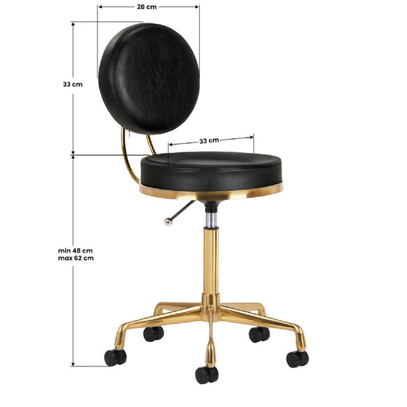 Activ H5 Gold Black Grooming Chair – Adjustable Height, Premium Gold and Black Finish