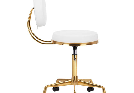Activ H5 Gold White Grooming Chair – Adjustable Height, Elegant Gold and White Finish