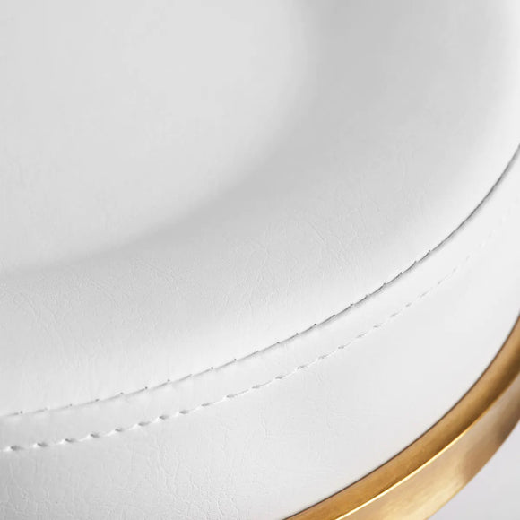 Activ H5 Gold White Grooming Chair – Adjustable Height, Elegant Gold and White Finish