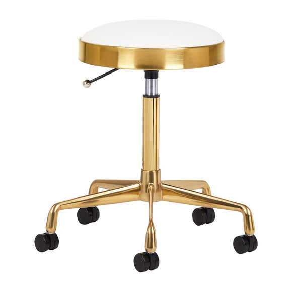 Activ H7 Gold Grooming Stool – Height Adjustable with Wheels, White Finish