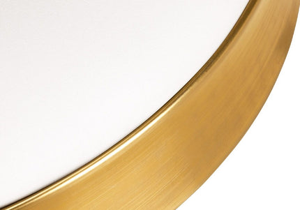 Activ H7 Gold Grooming Stool – Height Adjustable with Wheels, White Finish