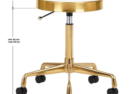 Activ H7 Gold Grooming Stool – Height Adjustable with Wheels, White Finish