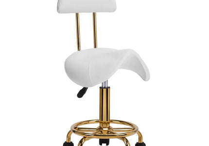 Activ 6001-G Gold Grooming Chair – Contoured Seat and Backrest, White Finish