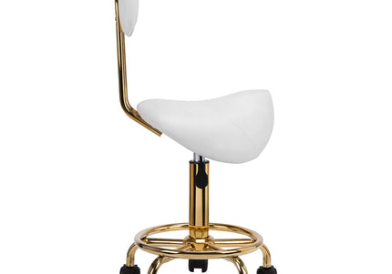 Activ 6001-G Gold Grooming Chair – Contoured Seat and Backrest, White Finish