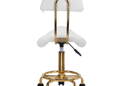 Activ 6001-G Gold Grooming Chair – Contoured Seat and Backrest, White Finish