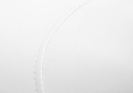 Activ 6001-G Gold Grooming Chair – Contoured Seat and Backrest, White Finish