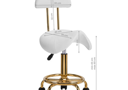 Activ 6001-G Gold Grooming Chair – Contoured Seat and Backrest, White Finish