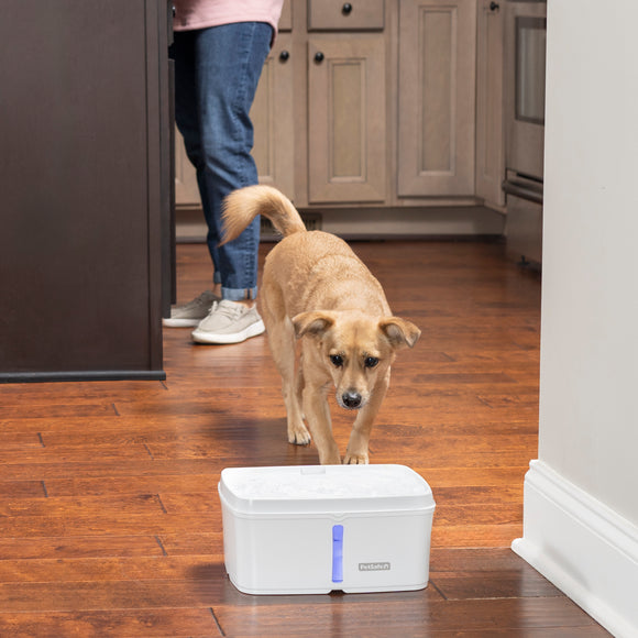 PetSafe Viva Pet Fountain – Large Capacity, Illuminated Water Level Indicator, Modern Design