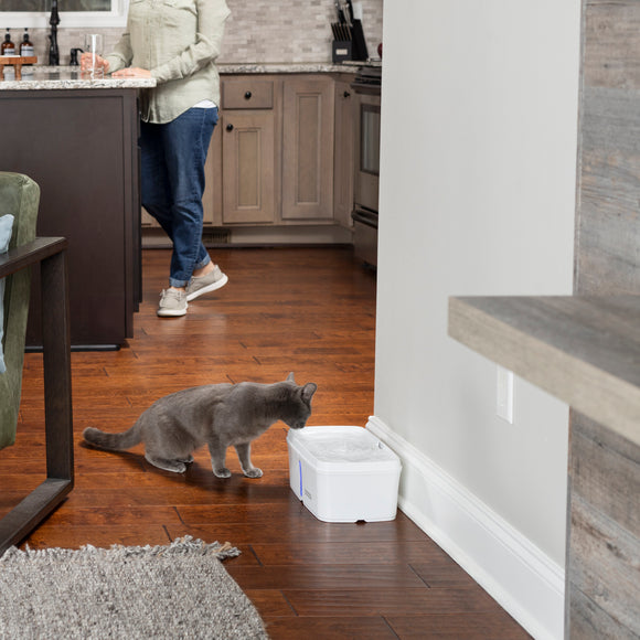 PetSafe Viva Pet Fountain – Large Capacity, Illuminated Water Level Indicator, Modern Design