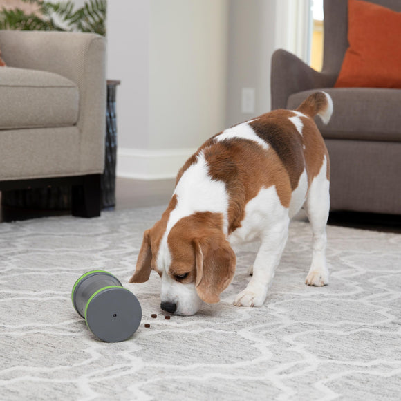 PetSafe Kibble Chase Roaming Treat Dispenser – Interactive Rolling Treat Toy, Engaging Play Design