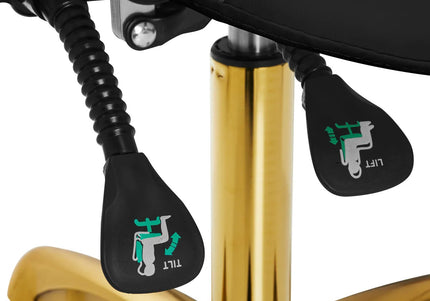 Giovanni 1004 Gold Black Grooming Chair – Adjustable 3D Rodeo Seat, Premium Black Finish