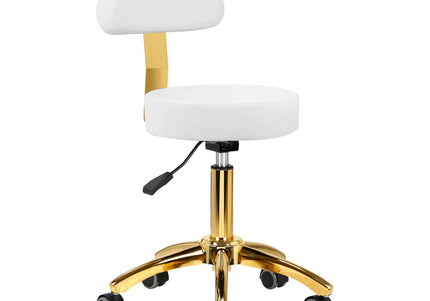 Activ AM-304G Gold White Grooming Chair – Adjustable Height, Removable Backrest, Gold Finish