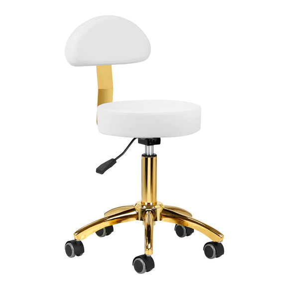 Activ AM-304G Gold White Grooming Chair – Adjustable Height, Removable Backrest, Gold Finish