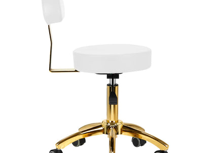 Activ AM-304G Gold White Grooming Chair – Adjustable Height, Removable Backrest, Gold Finish