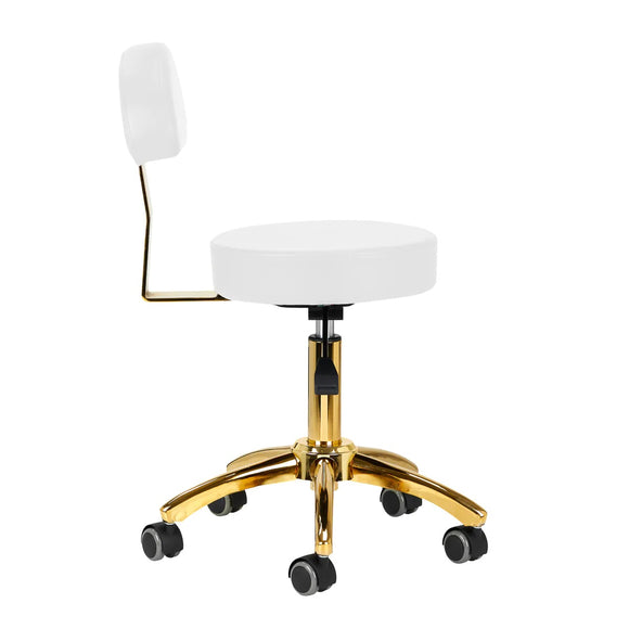 Activ AM-304G Gold White Grooming Chair – Adjustable Height, Removable Backrest, Gold Finish