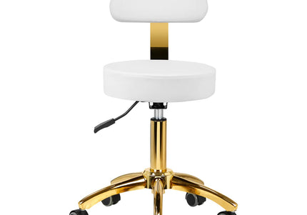 Activ AM-304G Gold White Grooming Chair – Adjustable Height, Removable Backrest, Gold Finish