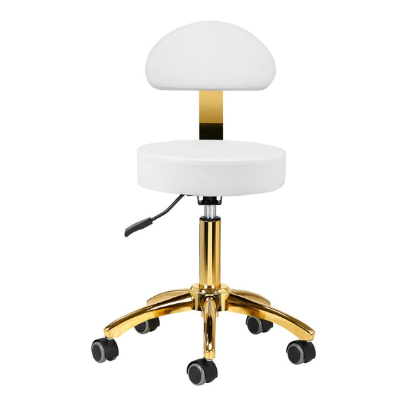 Activ AM-304G Gold White Grooming Chair – Adjustable Height, Removable Backrest, Gold Finish