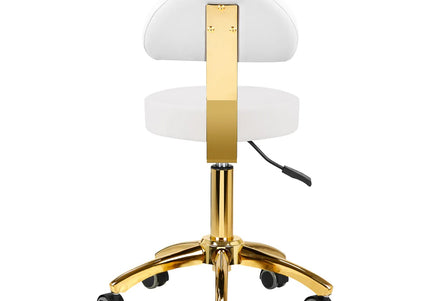 Activ AM-304G Gold White Grooming Chair – Adjustable Height, Removable Backrest, Gold Finish