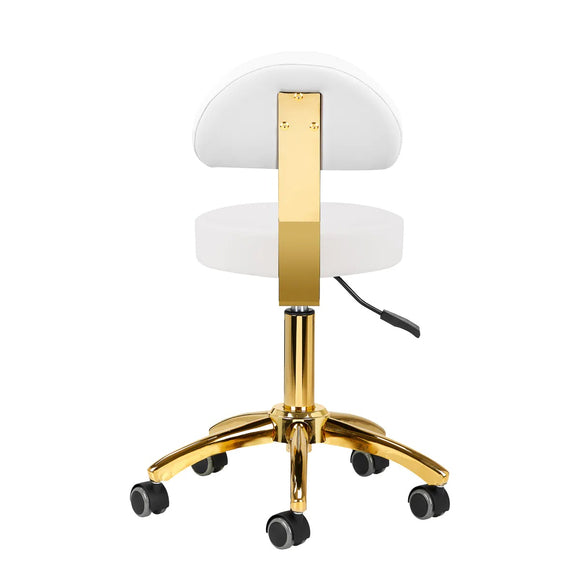 Activ AM-304G Gold White Grooming Chair – Adjustable Height, Removable Backrest, Gold Finish