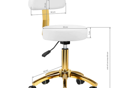 Activ AM-304G Gold White Grooming Chair – Adjustable Height, Removable Backrest, Gold Finish