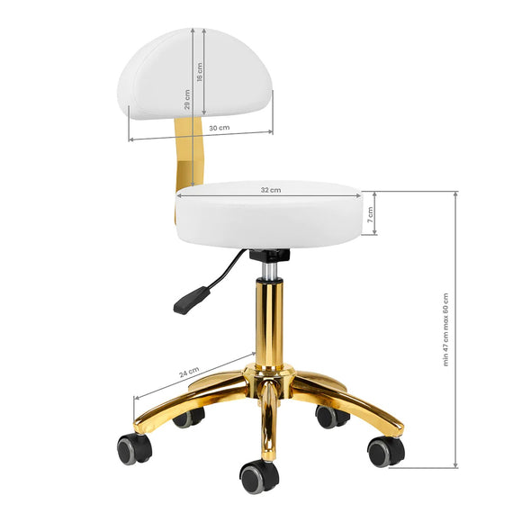 Activ AM-304G Gold White Grooming Chair – Adjustable Height, Removable Backrest, Gold Finish