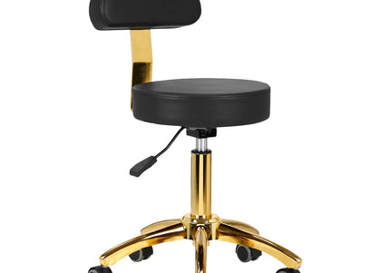 Activ AM-304G Gold Black Grooming Chair – Adjustable Height, Removable Backrest, Gold Finish