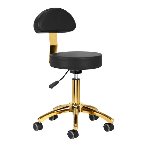 Activ AM-304G Gold Black Grooming Chair – Adjustable Height, Removable Backrest, Gold Finish