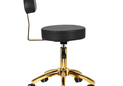Activ AM-304G Gold Black Grooming Chair – Adjustable Height, Removable Backrest, Gold Finish