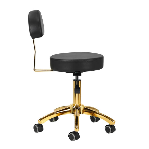 Activ AM-304G Gold Black Grooming Chair – Adjustable Height, Removable Backrest, Gold Finish