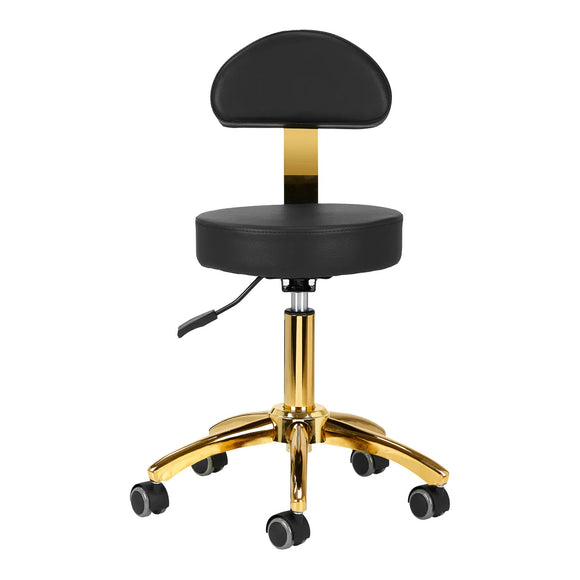Activ AM-304G Gold Black Grooming Chair – Adjustable Height, Removable Backrest, Gold Finish