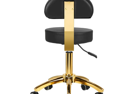 Activ AM-304G Gold Black Grooming Chair – Adjustable Height, Removable Backrest, Gold Finish